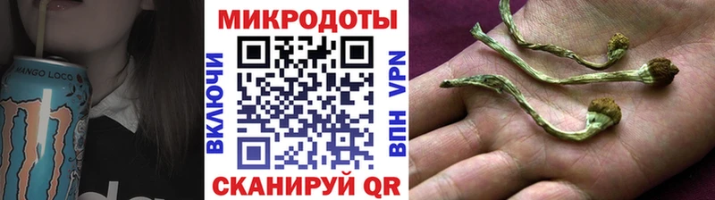 Купить где  Приозерск  Псилоцибиновые грибы Psilocybe 